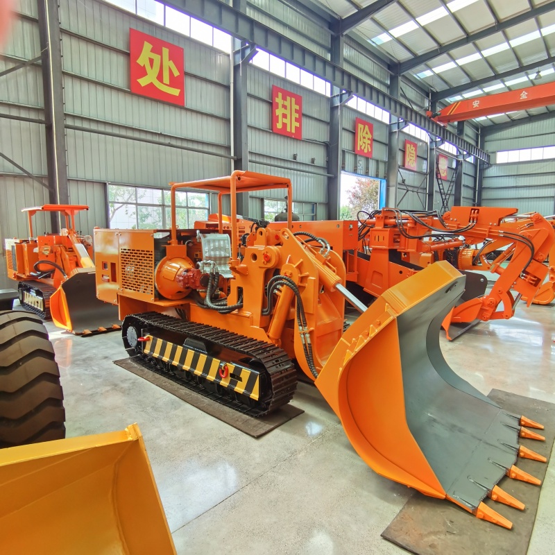 Cargadora de volteo lateral en venta