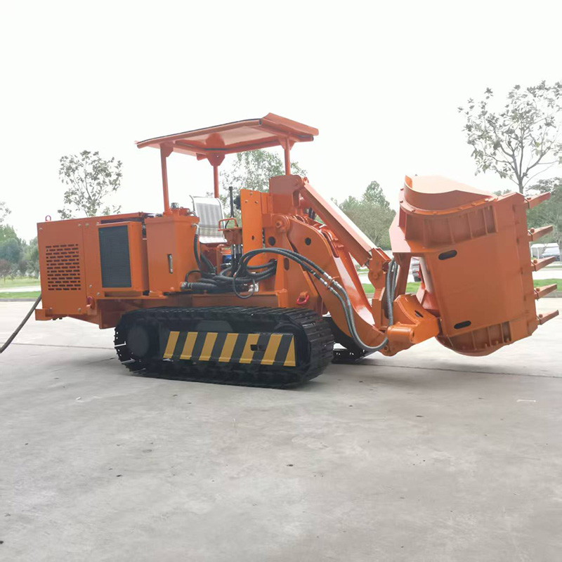 Low Type Side Dump Rock Loader