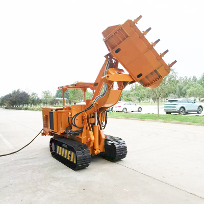 Carregadora de rochas de descarga lateral personalizada