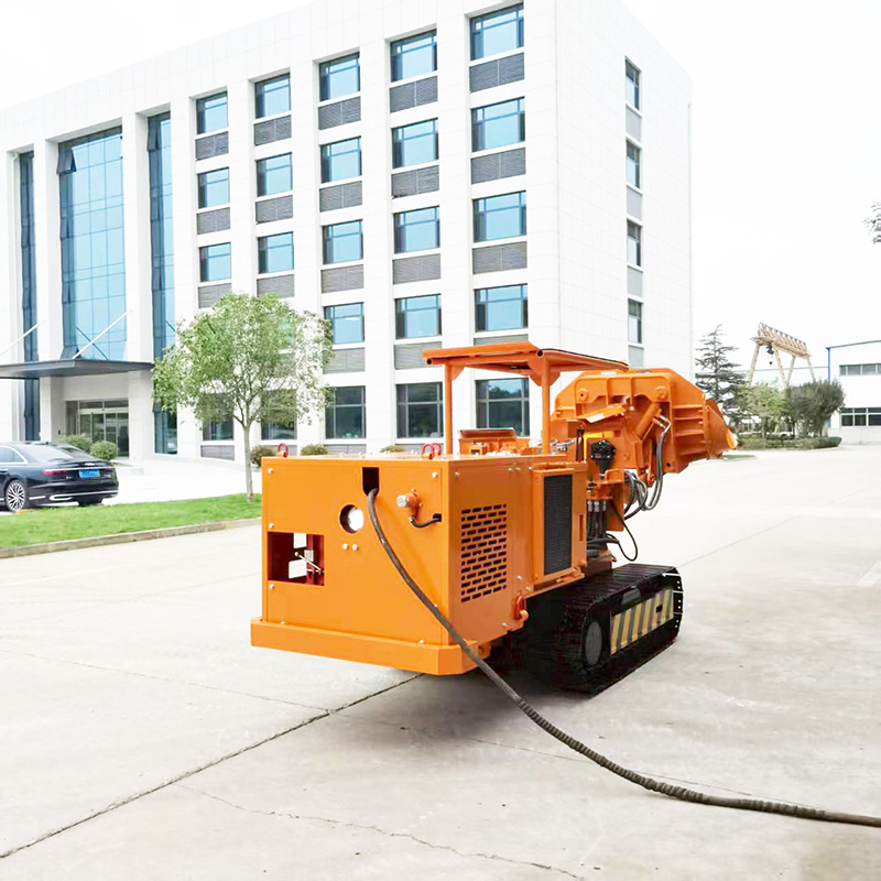 Low Type Side Dump Rock Loader